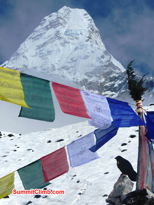 An Himalayan Chuff bird attends the prayer ceremony. Mark van 't Hof Photo.