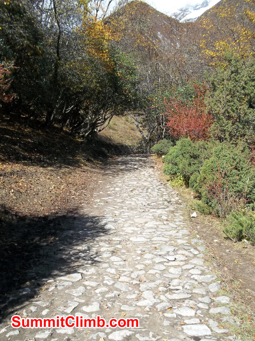 walking down to Pangboche