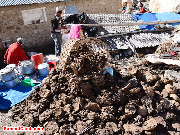 A prodigious pile of yak dung powers the mighty room heater in the big dining room in Kare Village. Photo by Michael Moritz.