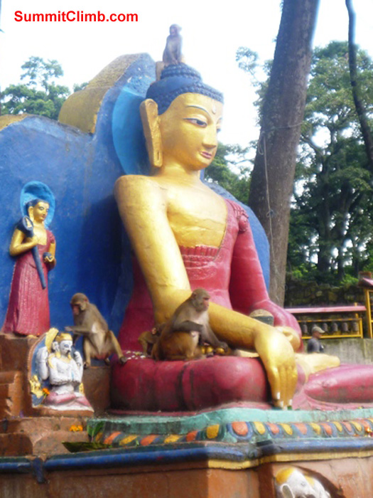 monkeys at the monkey temple photo by matt