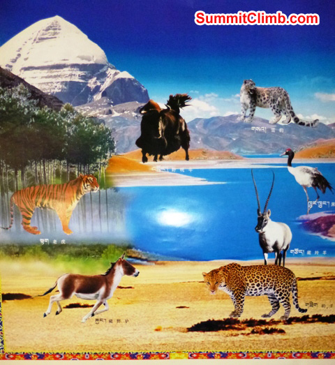 The great Buddhist saint, Milarepa, taught that all life, be it human or animal, should be respected and cherished, and that man should live in harmony with nature.