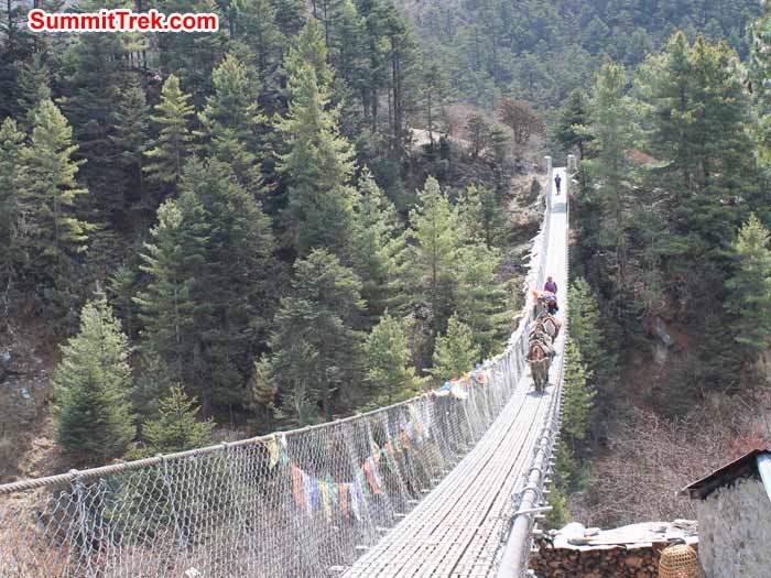 Long bridge near phakding. Photo Scot