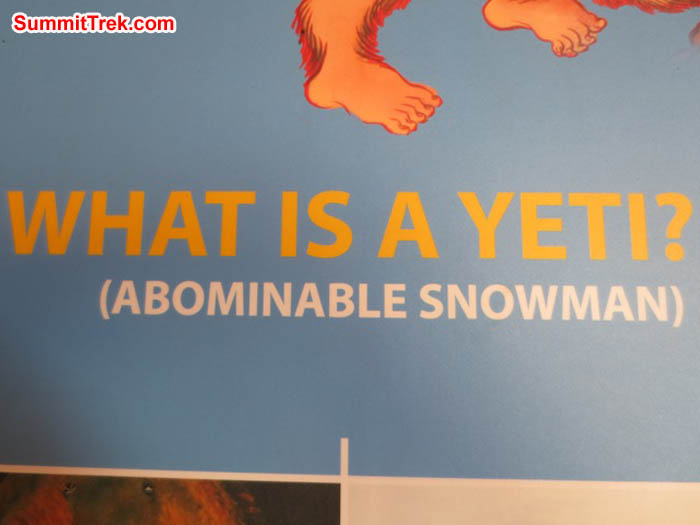 What is a Yeti. Hannah Rolfson Photo
