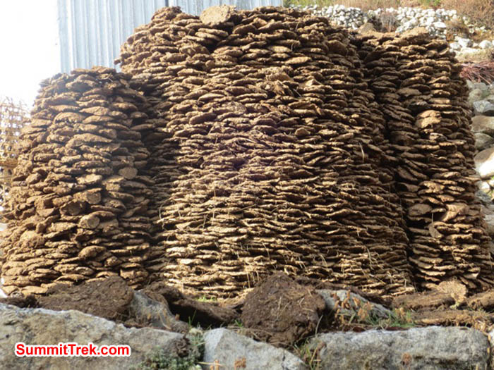 Yak dung stacked to load into Sherpa stoves. Hannah Rolfson Photo