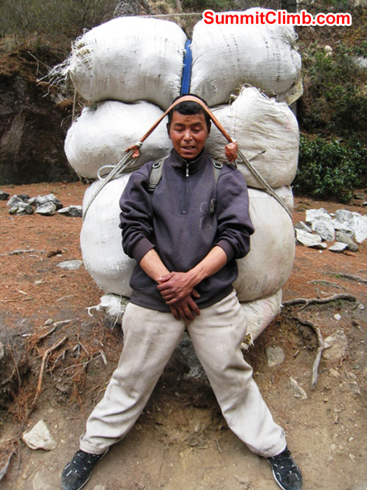 Porter carrying a load of grass to feed to yaks. Photo Scott Smith