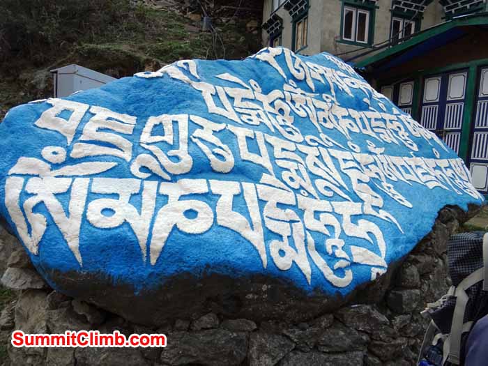 Photograph of an unusual coloured Mani on the trail photograph by James Grieve