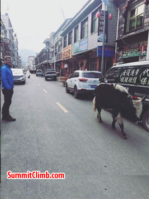 everest climb meeting