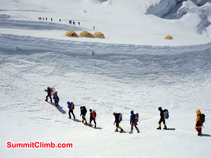 There they go. I will leave tomorrow