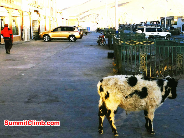 Typical Tingri street scene.