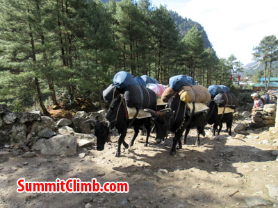 everest climb, loads for everest expedition