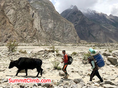 Porters and zoa heading to bc