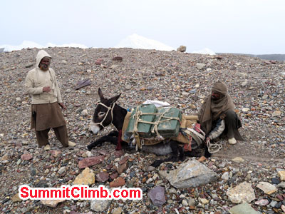 Porters and zoa heading to bc