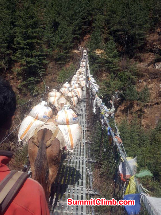 one of the many suspension bridge and lots of donkey with loads