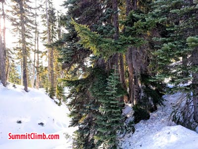 Winter Glacier School organised by SummitClimb