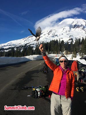 Winter Glacier School organised by SummitClimb