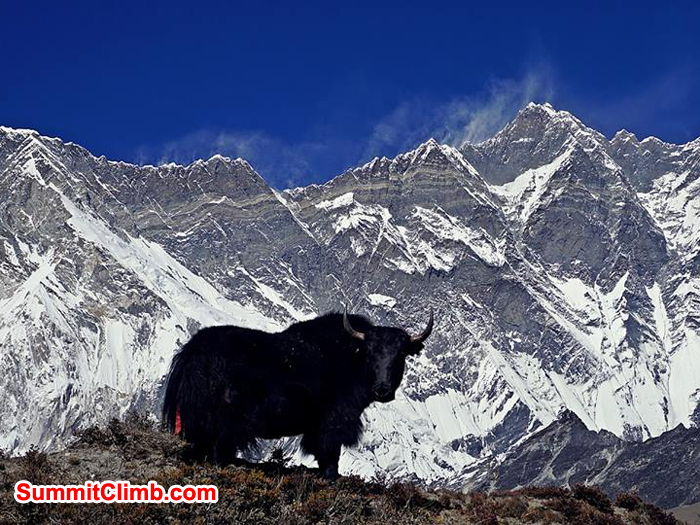 yak and lhotse wall