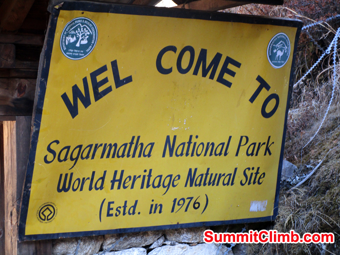 Signature. Photo Meryl Lipman