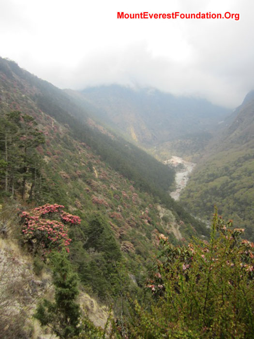 Kumbu covered in Laligurasn