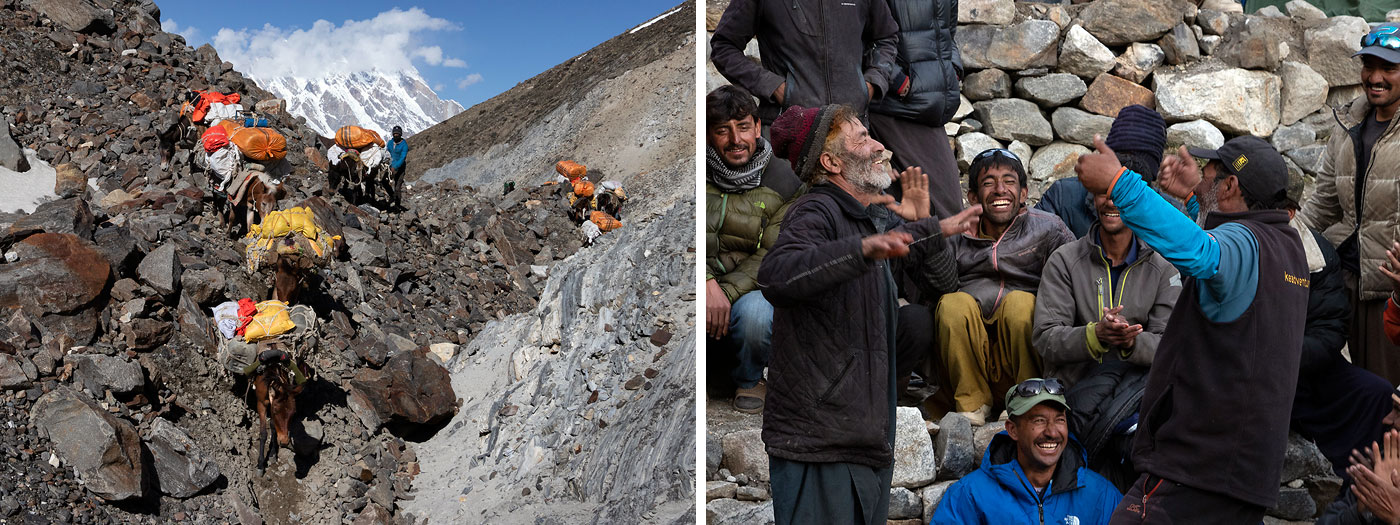 Careful and Steady Mules