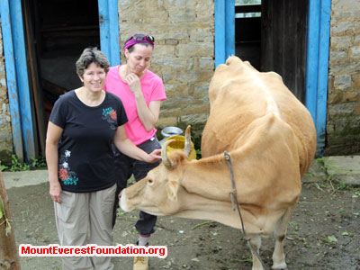 nepal volunteer trek, kaji