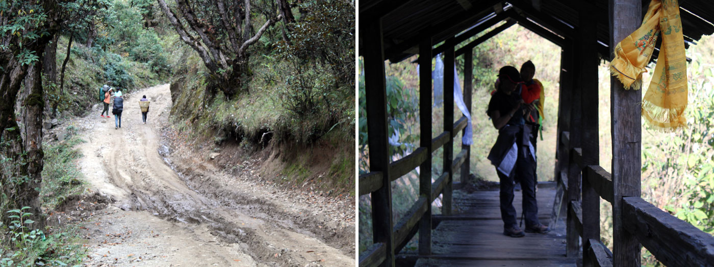 Nice trekking path one of the Bridge