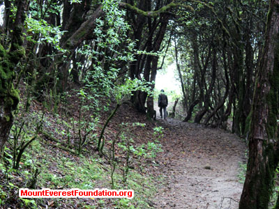 nepal volunteer trek, green