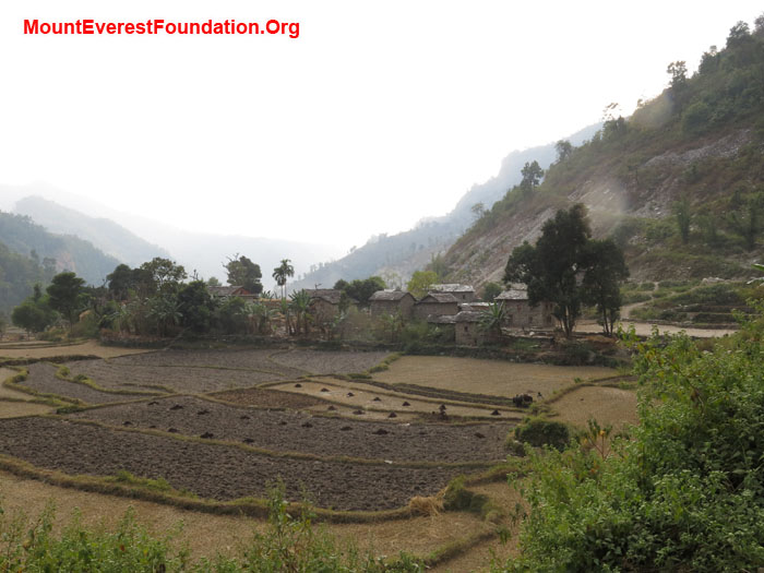 Field. Photo Daniela Milea