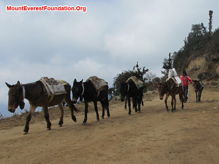 Carrying loads by donkey. Photo by Marie